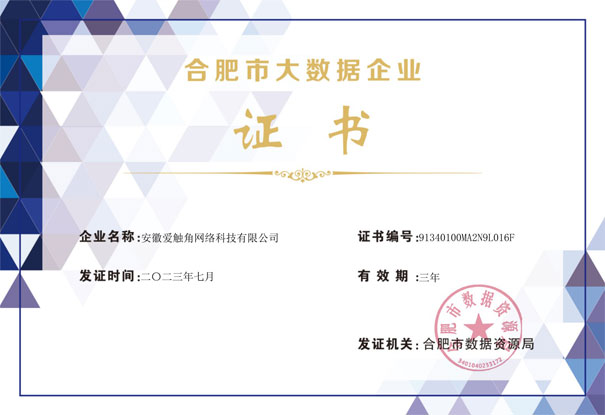 合肥大数据企业证书